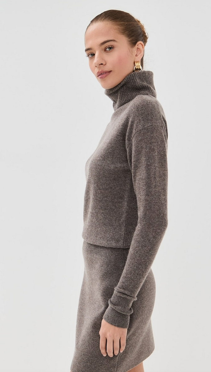 Cassidy Turtleneck mini dress