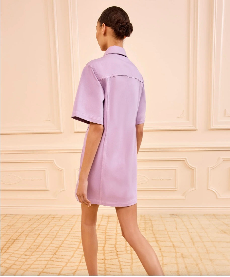 The Painters Denim Mini Dress