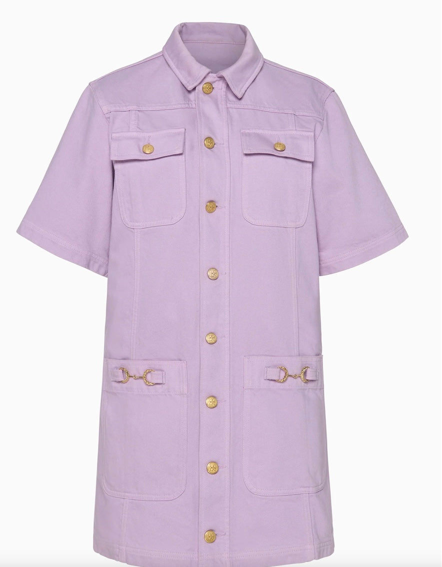 The Painters Denim Mini Dress