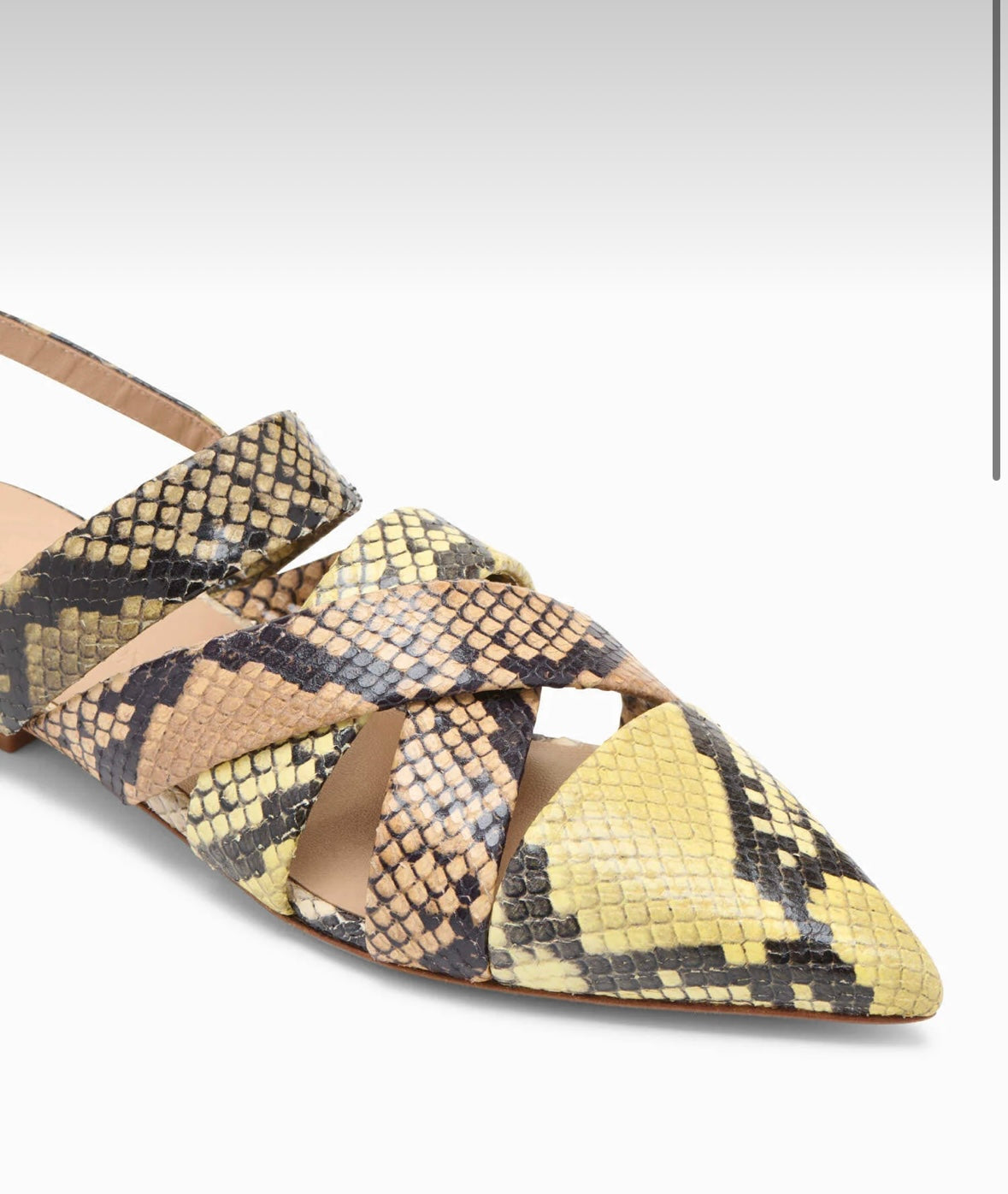 Tallulah Woven Python Flat