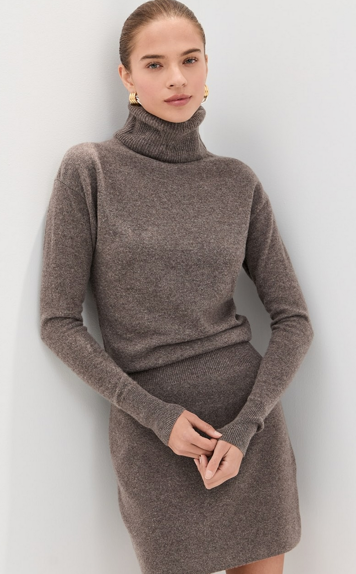 Cassidy Turtleneck mini dress